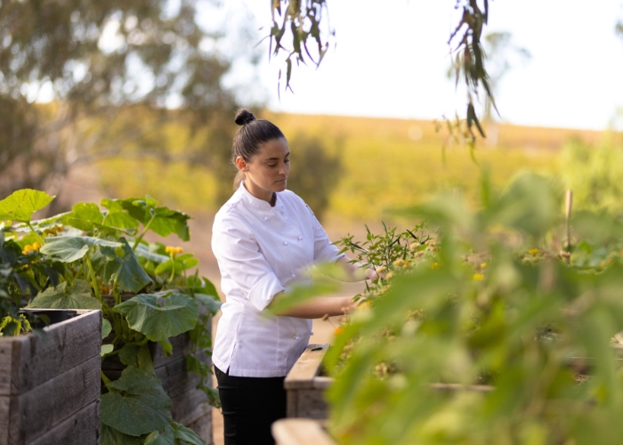 Tradition, Family and Memories on the Plate – Chef Chat with Hentley Farm’s Clare Falzon.
