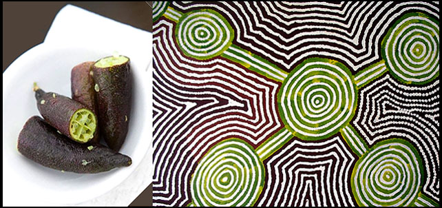 Australian Aboriginal Bush Food