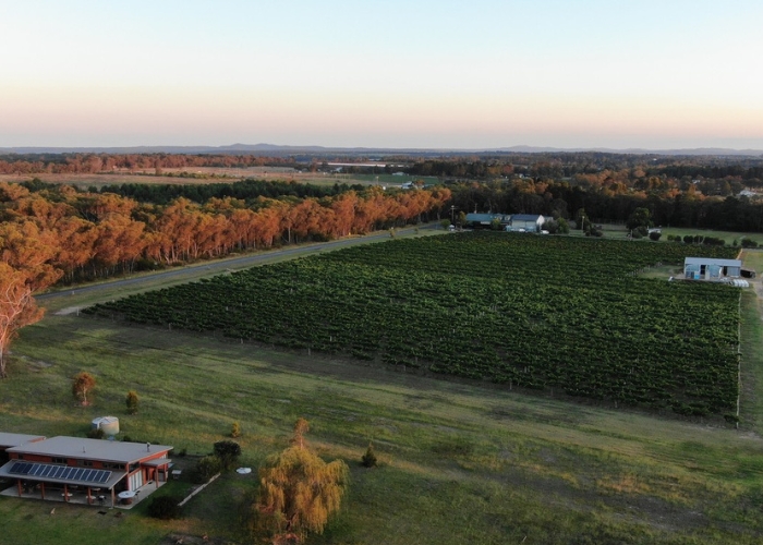 Wine of the Week – Heritage Estate Fiano.