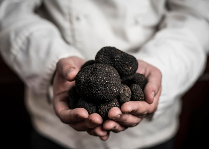 Nobody Knows the Truffles I’ve Seen – Six Restaurants to Celebrate Truffle Season.