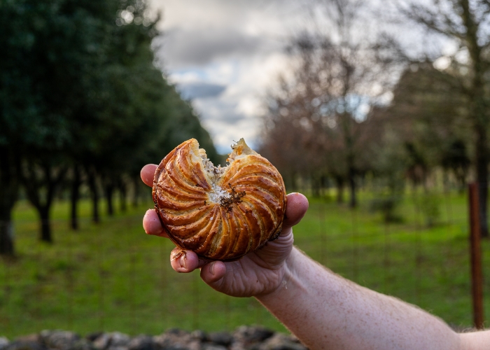 Ballarat's Best Pie Competition THIS August