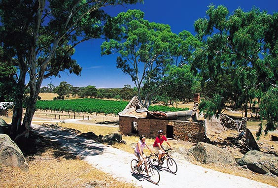 Cycling in South Australia 1