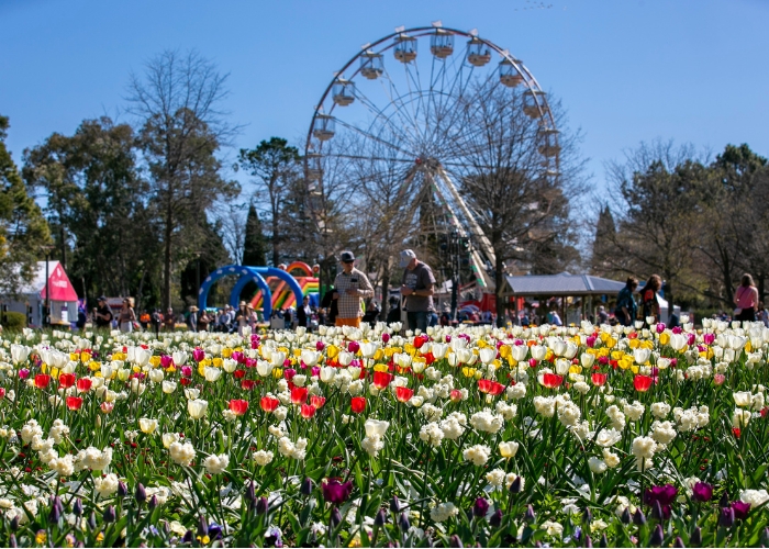 Floriade Canberra returns for 2023.