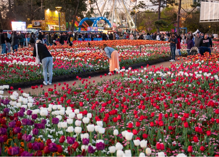 Floriade Canberra returns for 2023.