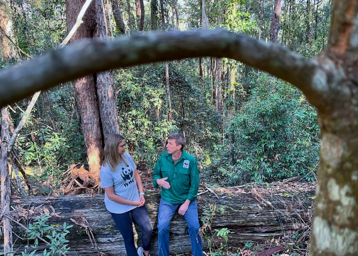 The Stats Are In - NSW Scores Last with WWF to Protect and Restore Trees.