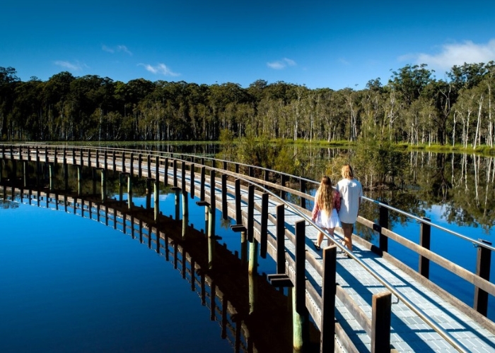 The Stats Are In - NSW Scores Last with WWF to Protect and Restore Trees.
