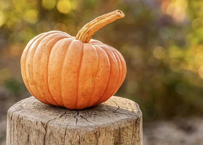How to Carve the Perfect Pumpkin.