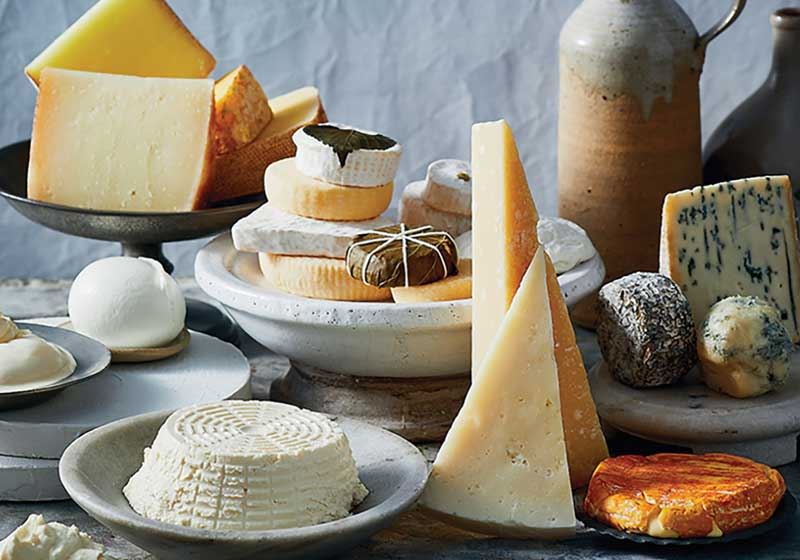 A Guide to the Art of Cheesemaking: Book Review – There’s Always Room for Cheese.