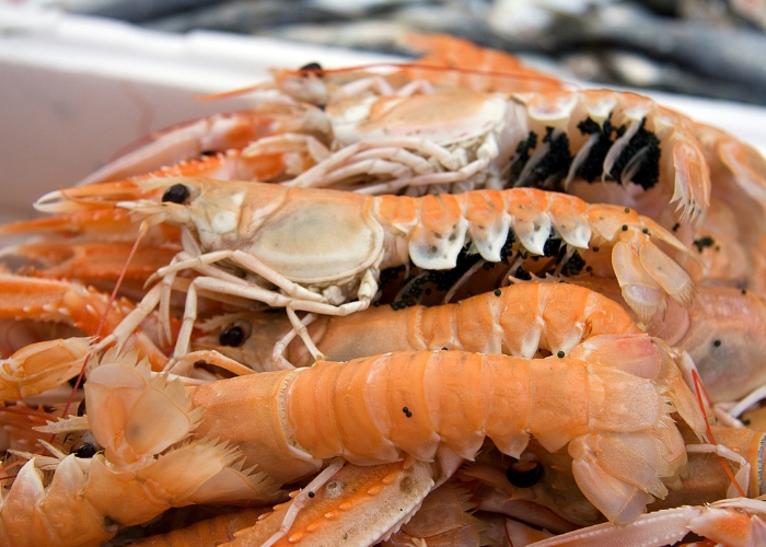 Know Your Crustaceans: Crab, Lobster, Langoustine, Crayfish and Prawns.