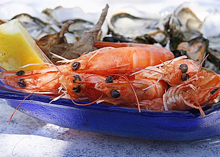There Won’t Be Plenty More Fish in the Sea without Sustainable Seafood.
