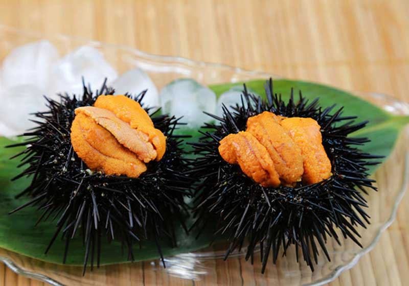 Can You Guess the Most Expensive Seafood in the World? | AGFG