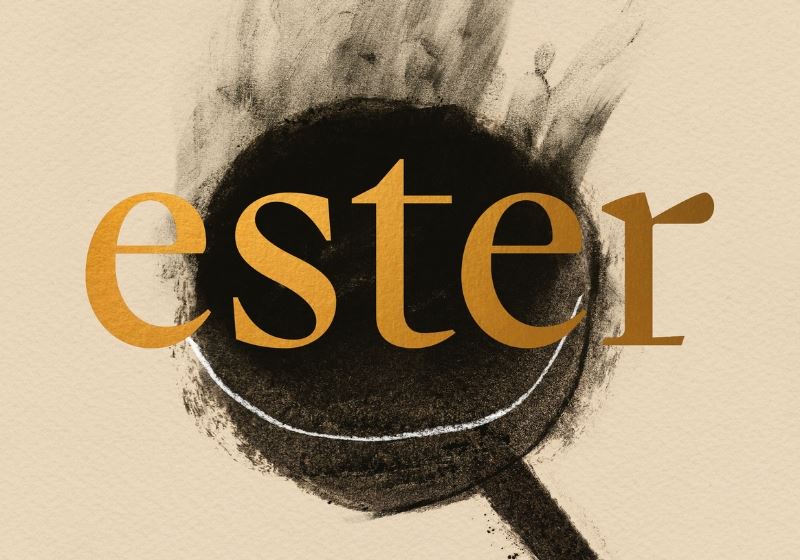 Book Review: Ester by Mat Lindsay and Pat Nourse. The Verdict? It's a Great Book!