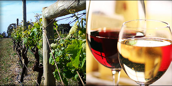 Wineries in Western Australia 1