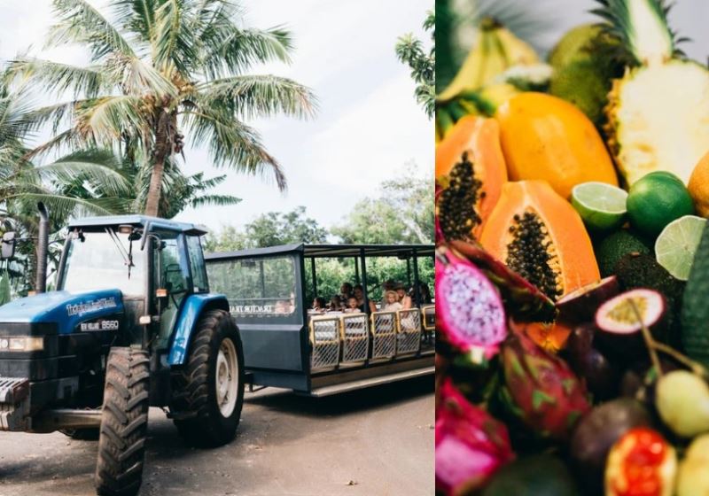 A Tropical Paradise Where Farming Meets Education: The Hidden Gems of Duranbah's Tropical Fruit World