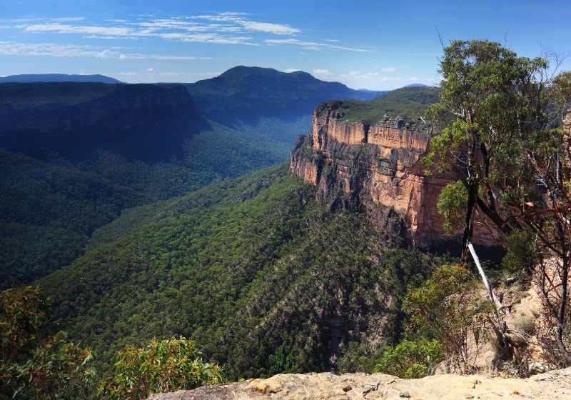 A Local’s Foodie Guide to a Deeper Blue Mountains Experience