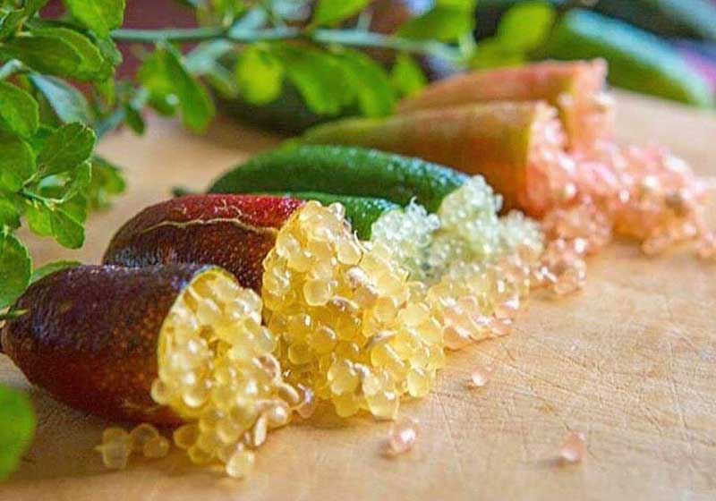 Discover Native Ingredients in Our Spirit of Australia Recipe