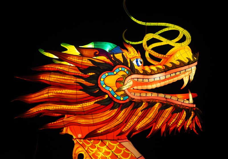Welcome to the Year of the Dragon! We Celebrate Chinese New Year.