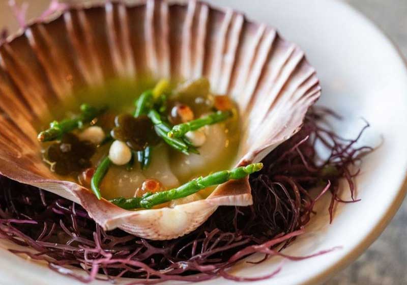 5 Chef Hat-Awarded Japanese Restaurants You Need to Visit.