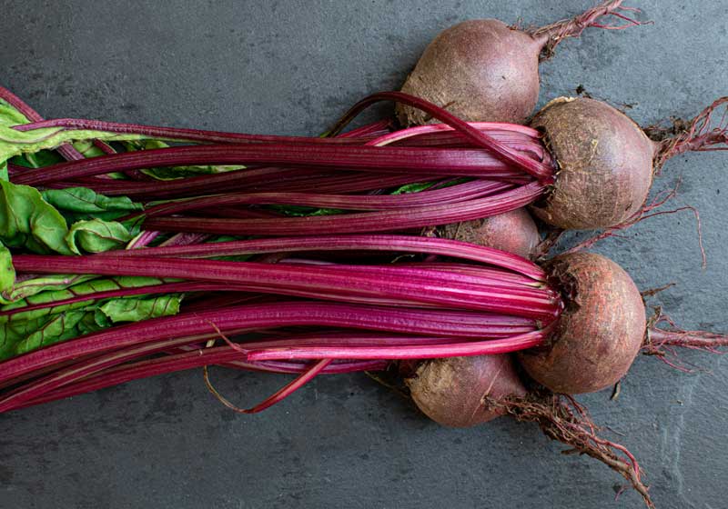 What to Plant in Autumn – Our Guide to Your Vegetable Garden