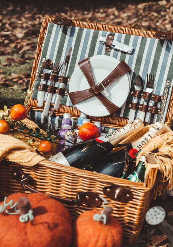 How to Plan a Winter Picnic and Enjoy this Summer Pastime in the Cooler Weather