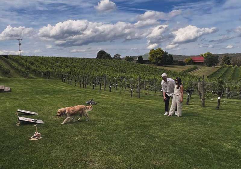 5 Dog-friendly Venues for a Pawsome Good Time