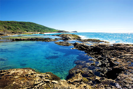 Australia's Rock Pools 1