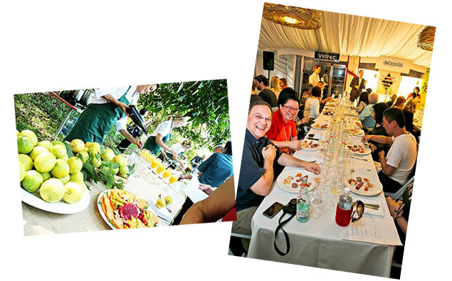 Noosa International Food and Wine Festival