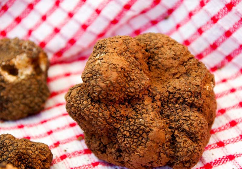 The Tastiest Truffles from Around the World