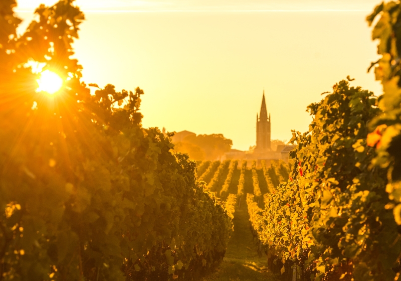 Your Guide to French Wine Regions: Sip, Savour and Swoon