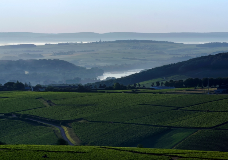 Your Guide to French Wine Regions: Sip, Savour and Swoon