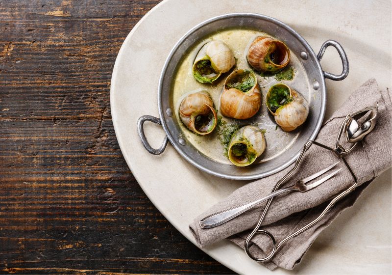 Escargot: From Ancient Streets to Haute Cuisine