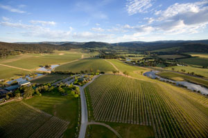 Book Review - Heart & Soul: Australia’s First Families of Wine 1