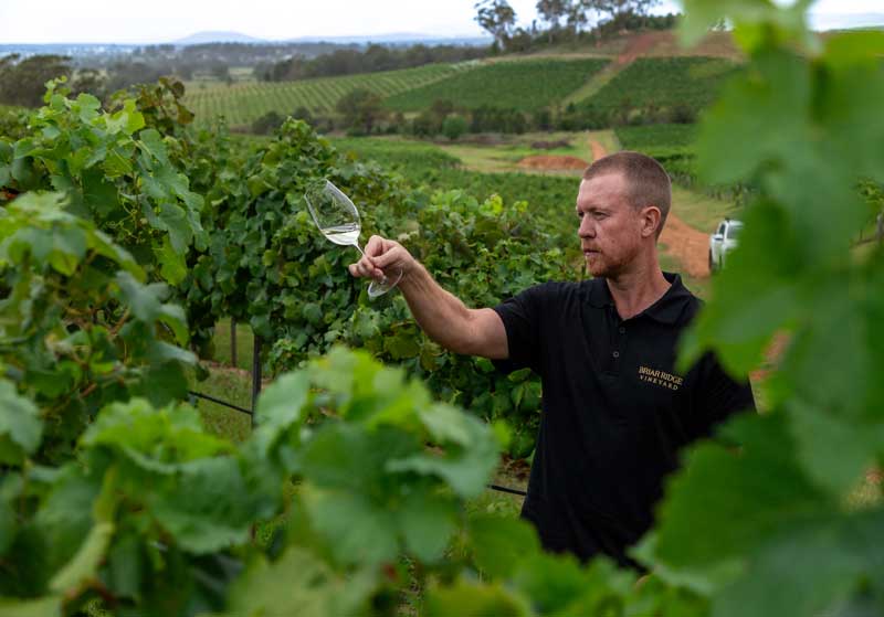 Join a Month-long Celebration of Fine NSW Wines in the Heart of Sydney