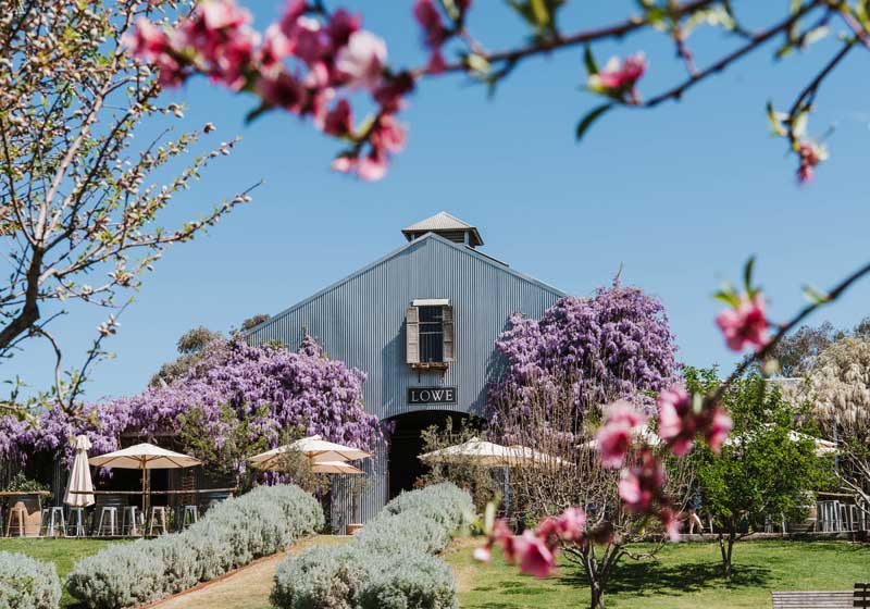 Join a Month-long Celebration of Fine NSW Wines in the Heart of Sydney