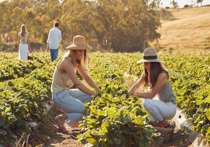 Nourish Your Soul at Wellness Wander in the Adelaide Hills