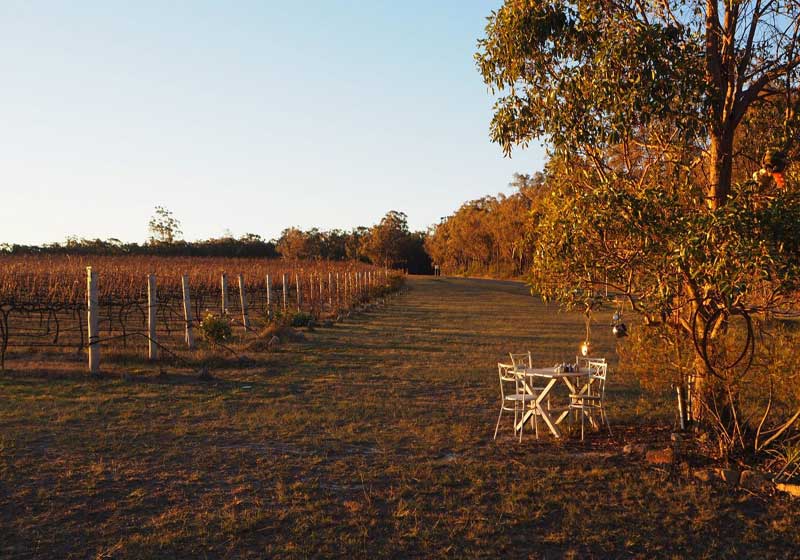 5 Readers’ Choice Award-winning Wineries to Enjoy a Tipple!