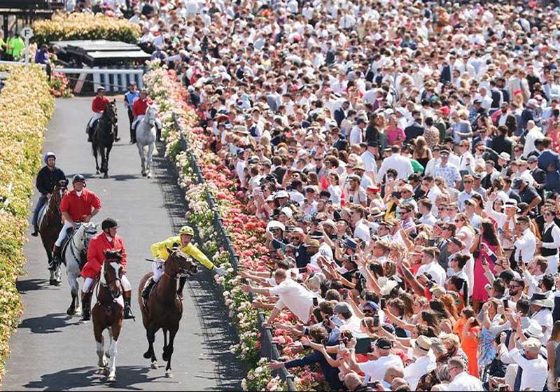 Straight from the Horse’s Mouth – Time for the Melbourne Cup!