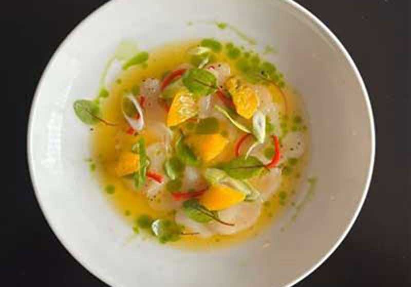 Ceviche v Crudo – What’s the Difference? Plus 6 Recipes