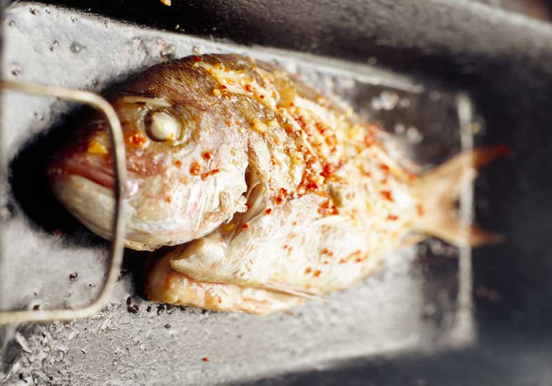 Any Fin is Possible with Seafood on the Grill – 6 Sizzlingly Good Recipes