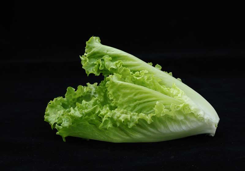 Lettuce Romaine Calm – 11 Varieties of Lettuce and How to Use Them