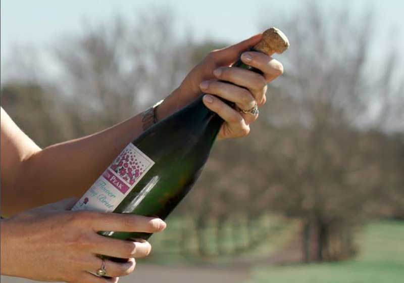 5 Sparkling Wines to Put the Fizz into New Year