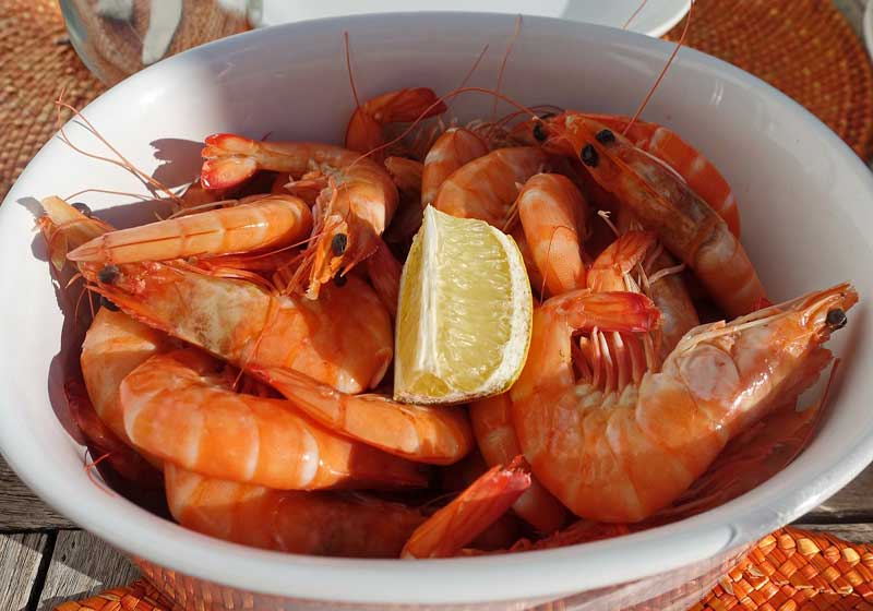 Will Wild-caught Aussie Prawns Be on Xmas Tables in 20 Years’ Time?