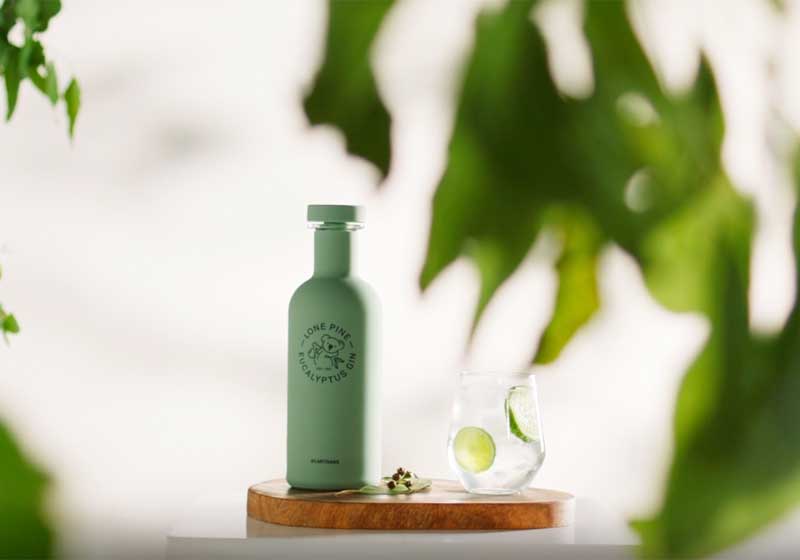 Buy this New Eucalyptus Gin and Save Koalas!