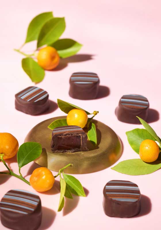 New Haigh’s Chocolates Take Inspiration from Year of the Snake