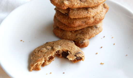 Chocolate Chip Snickerdoodles; The Frosted Vegan 1