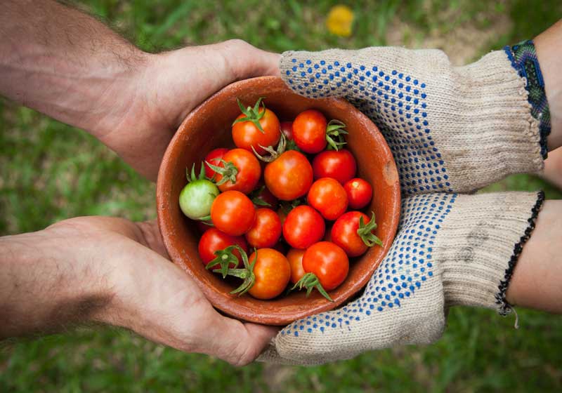 Your Complete Guide to Eco-Friendly Eating Out