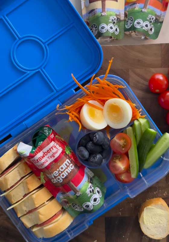 Top Hacks to Make Packing School Lunches Easier, Healthier and More Fun!