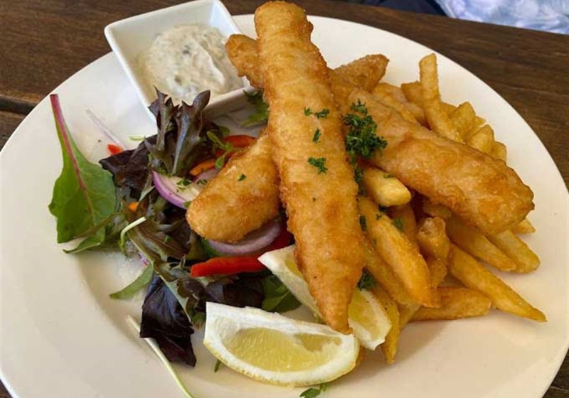 Beer Gardens and Breweries: Where to Enjoy a Pint