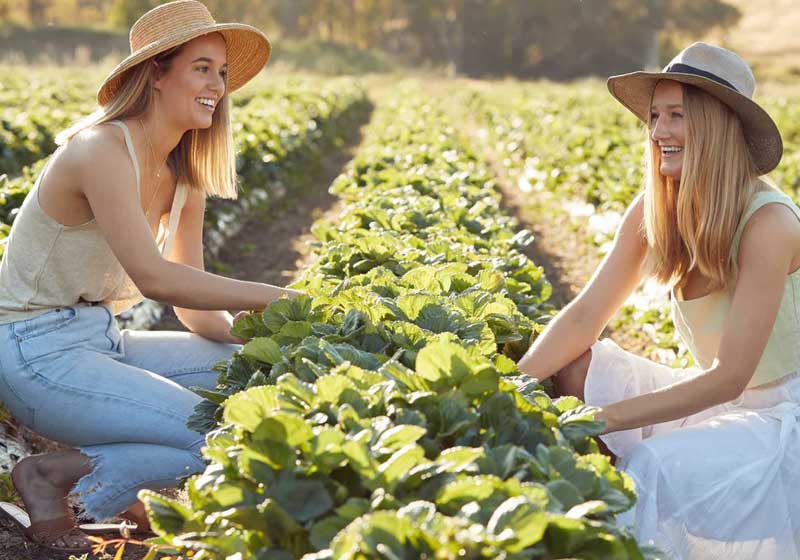 8 of the Best Aussie Farms for a Pick-Your-Own Experience