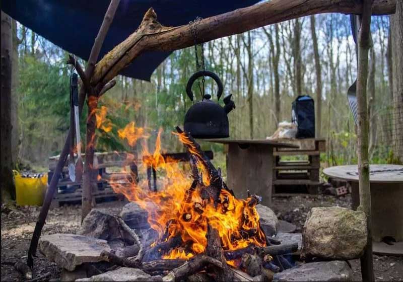 Campfire Cooking Like a Pro: 7 of the Best Bush-Style Meals to Make Outdoors